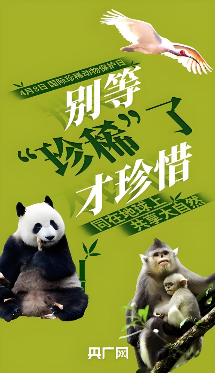 恋爱漫画6